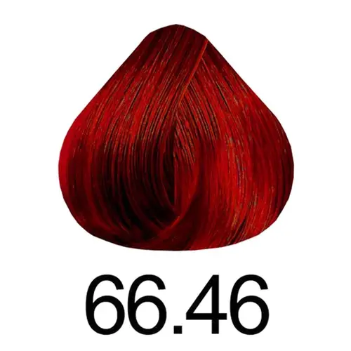 TINT HASKELL KIT COLOR 6646