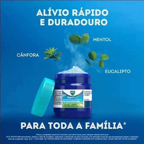 VICK VAPORUB C/30 GR