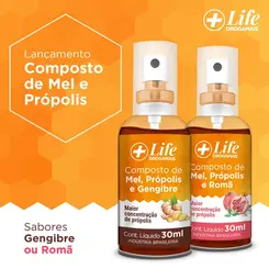 LIFE DROGAMAIS SPRAY PROPOLIS MEL/GENGIBRE 30 ML