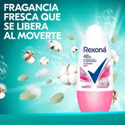 DES REXONA ROLON 50 ML POWDER